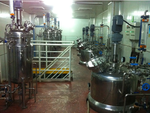 山西食用菌工程，日產3.5萬袋杏鮑菇